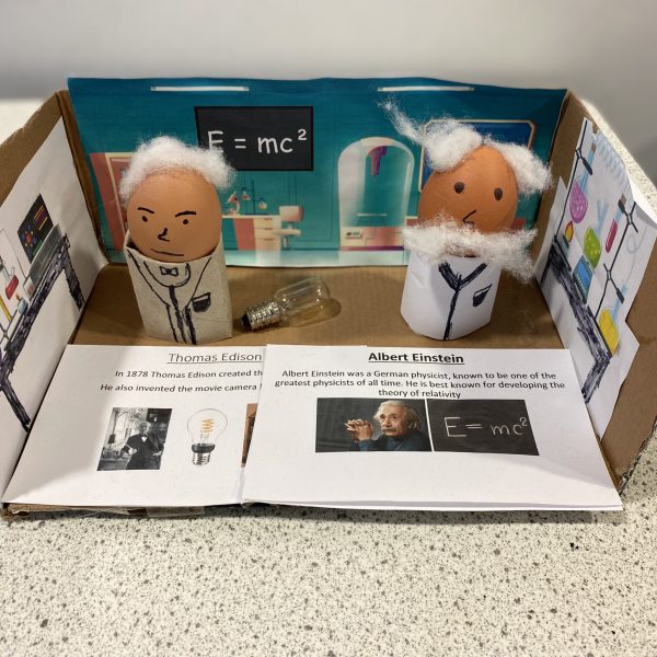 Egg Lab