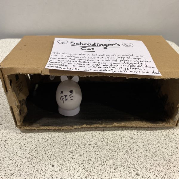 Schrodinger's Cat