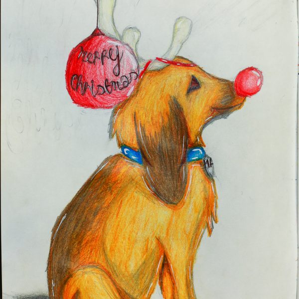 Christmas Cards - Facebook 2021 --12