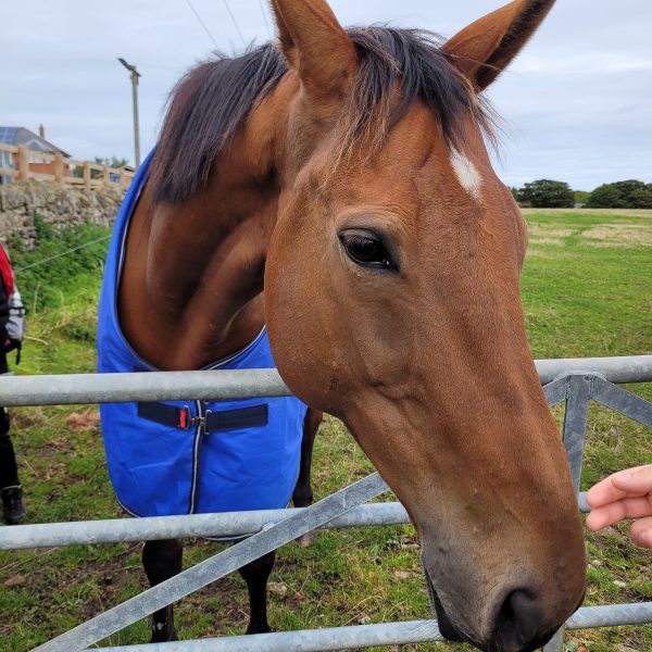 DofE Silver practice expedition in Northumberland -4